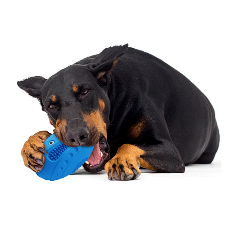 brinquedos de futebol para mastigar cachorro