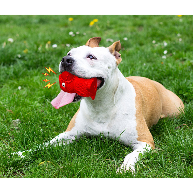 animal de estimação soa brinquedo para mastigar pássaros