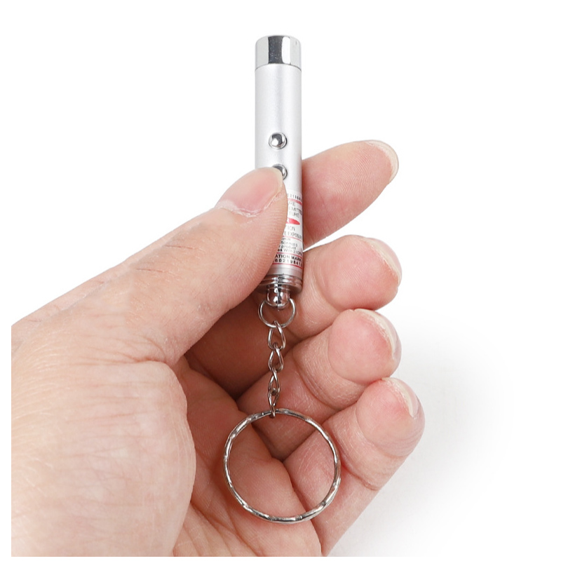 Automated Laser Pointer Cat Toy