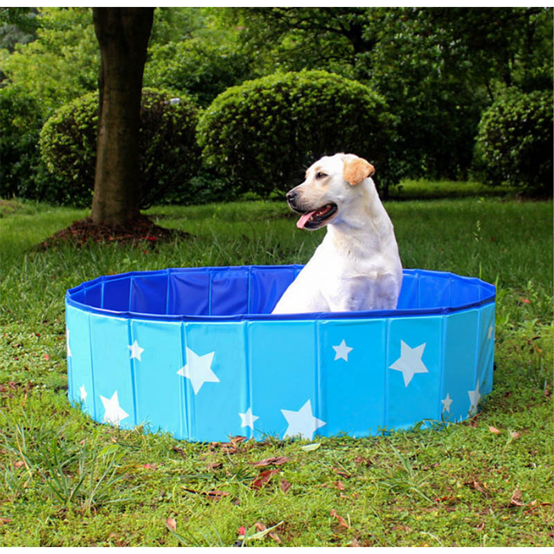 Piscina para cães de estimação