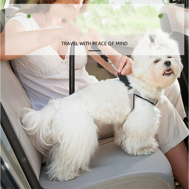 Cinto de segurança ajustável para cães