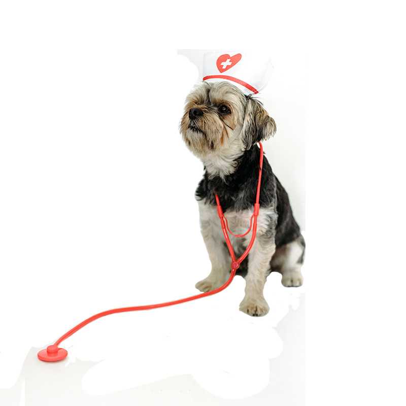 Assistência médica
