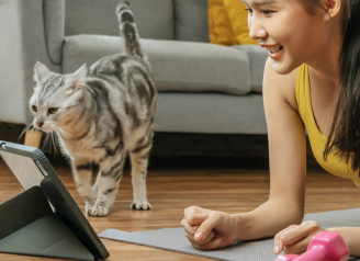 Qual é o brinquedo que deixa seu gato feliz?